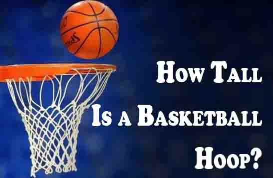 How Tall Is a Basketball Hoop?
