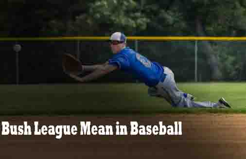 What Does Bush League Mean in Baseball?